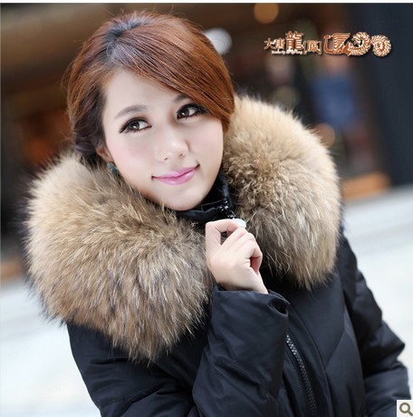 2013110758398725.jpg
